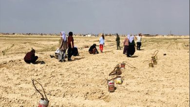صورة بمناسبة الرابع من نيسان..المرأة الإيزيدية تزرع 300 غرسة في شنكال 