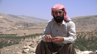 Photo of Dara Zivingê: Dara pîroz a şêwr û berxwedanê 